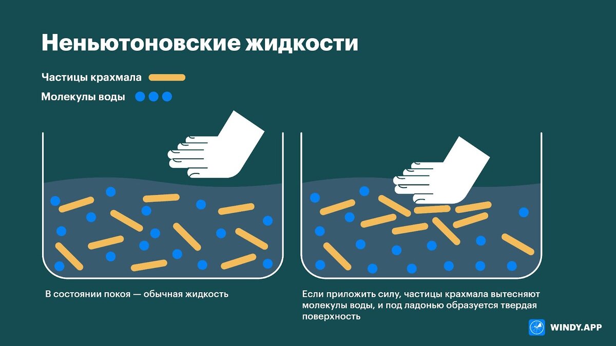 В состоянии покоя — обычная жидкость, но если приложить силу, частицы крахмала вытесняют молекулы воды, и под ладонью образуется твердая поверхность