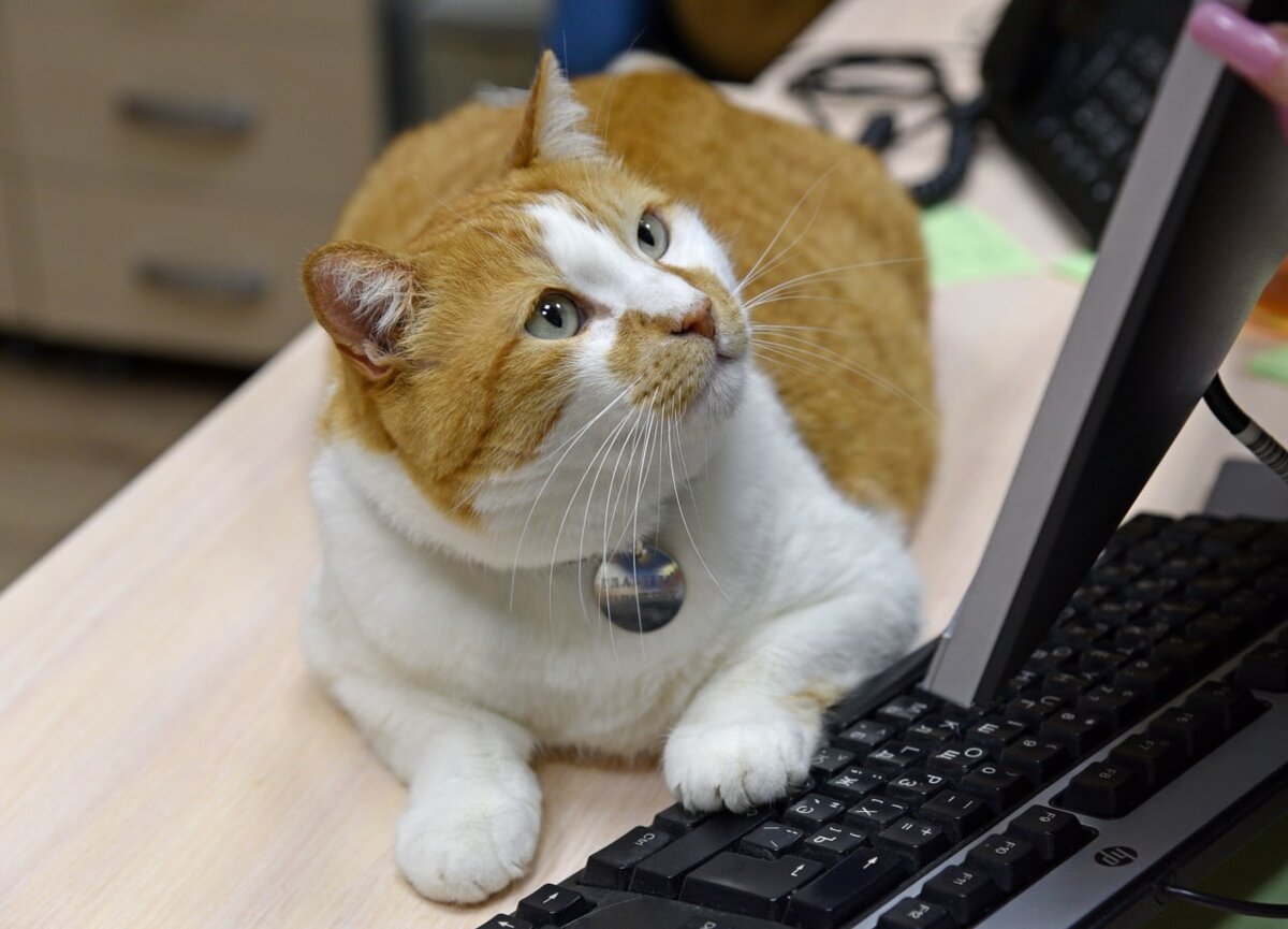 Польза лучше видна, когда выражена в цифрах: 108 публикаций. И это только начало! 