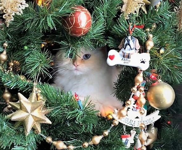 Источник: Яндекс. картинки