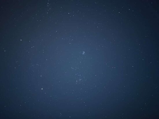     Елена Балуева / МК в Новосибирск