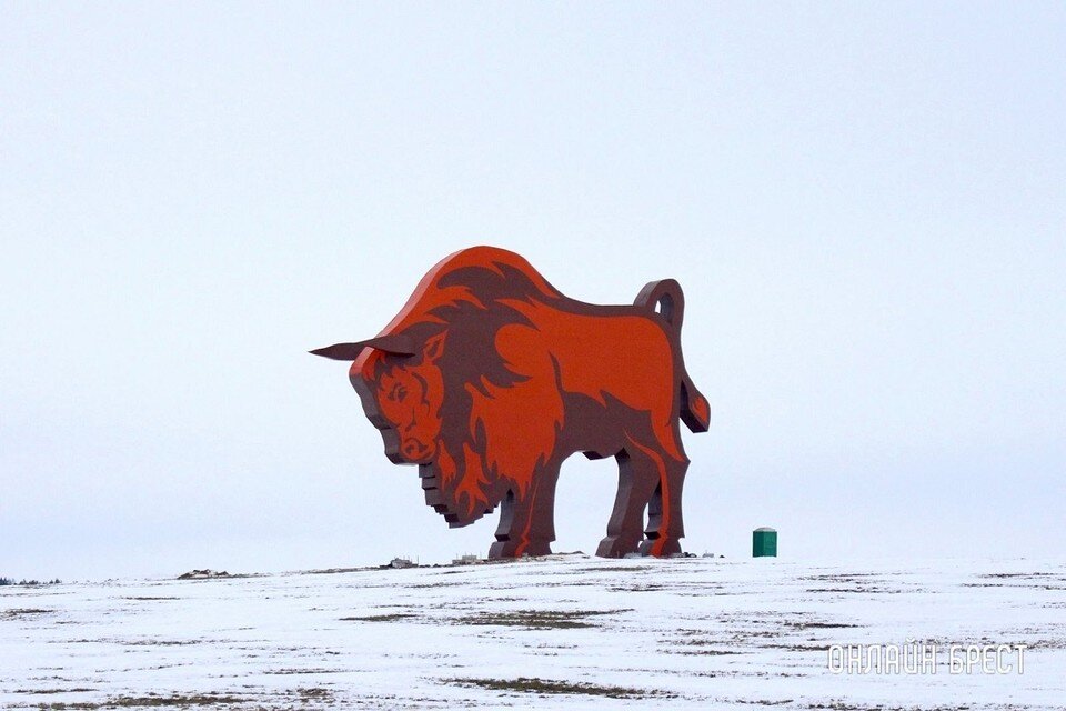     Зубр с трассы М1 стал выглядеть свежее и объемней. Фото: onlinebrest.by