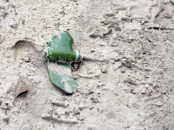   © РИА Новости Виктор Антонюк