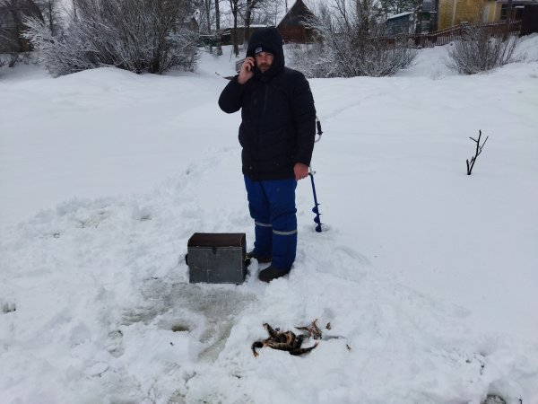 Дуракам закон не писан рисунок к пословице