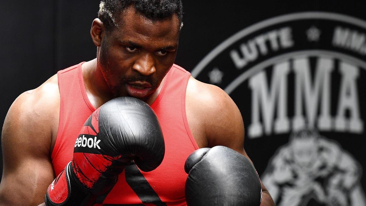    Боец Фрэнсис Нганну:FRANCK FIFE/AFP via Getty Images