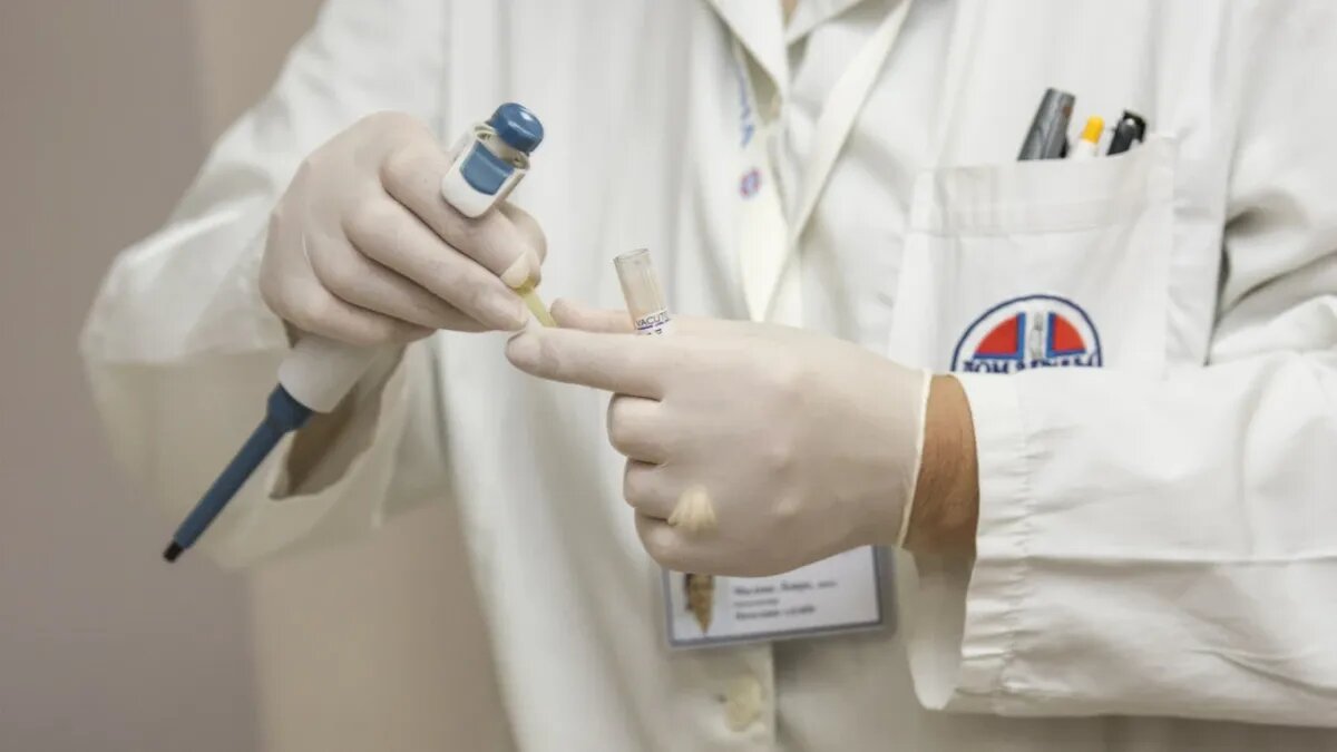 Фото: pxhere.com