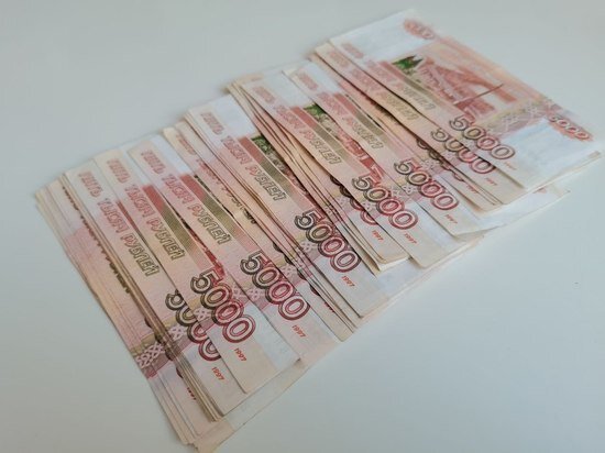     Директора-коммерсанта осудят за сокрытие 10 миллионов от налоговой в Хабаровском крае / Ольга Григорьева