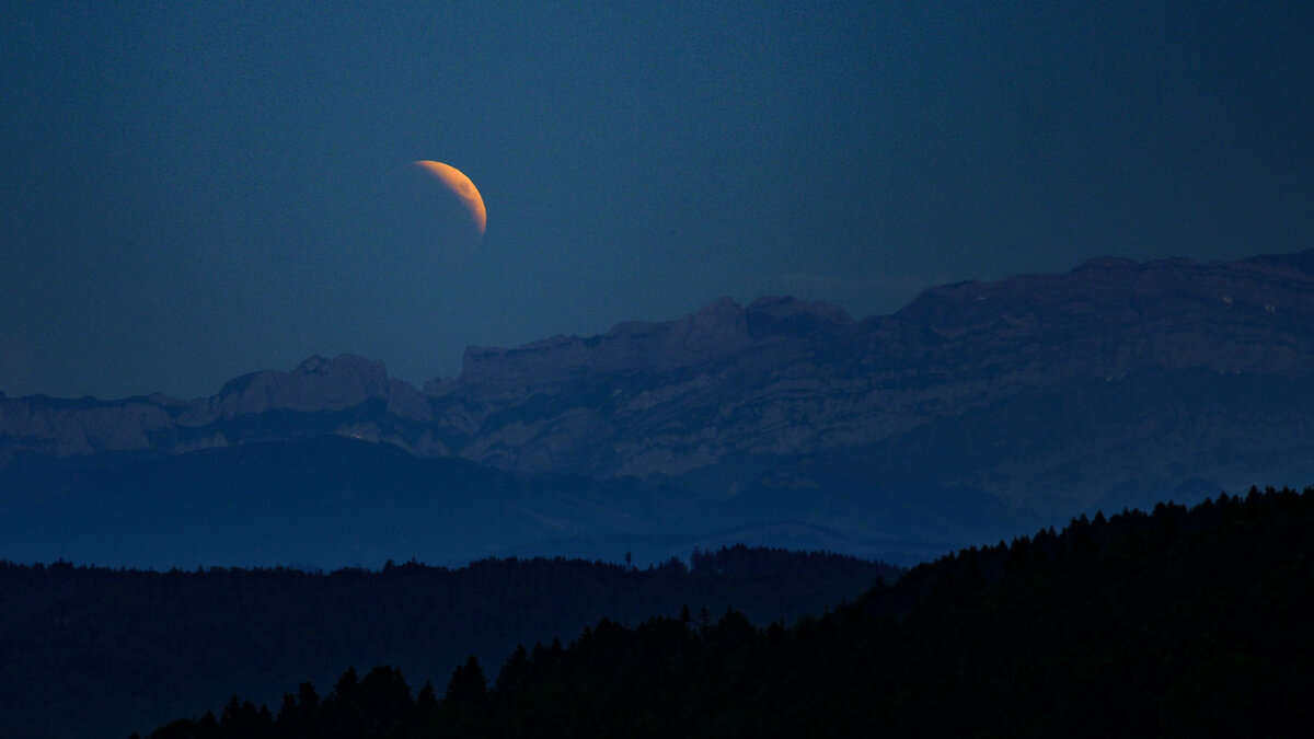 Photo by Sigg Sebastian on Unsplash