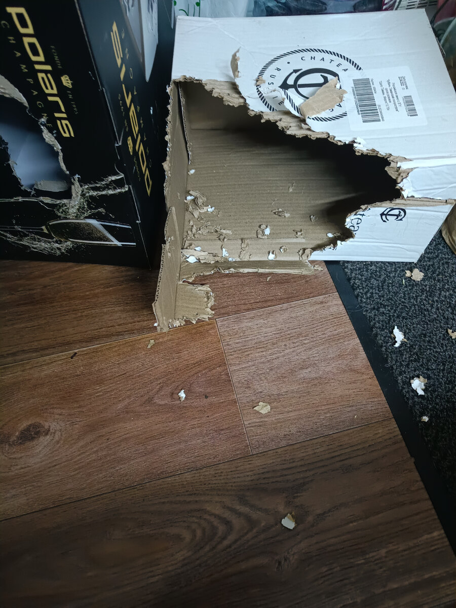 Триумфальная арка. Архитектор Люся Любовна.