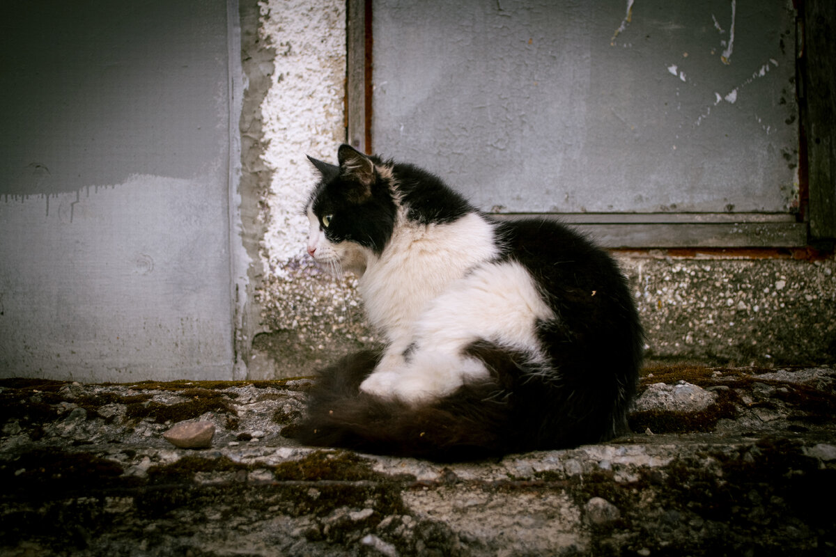 Фото автора.