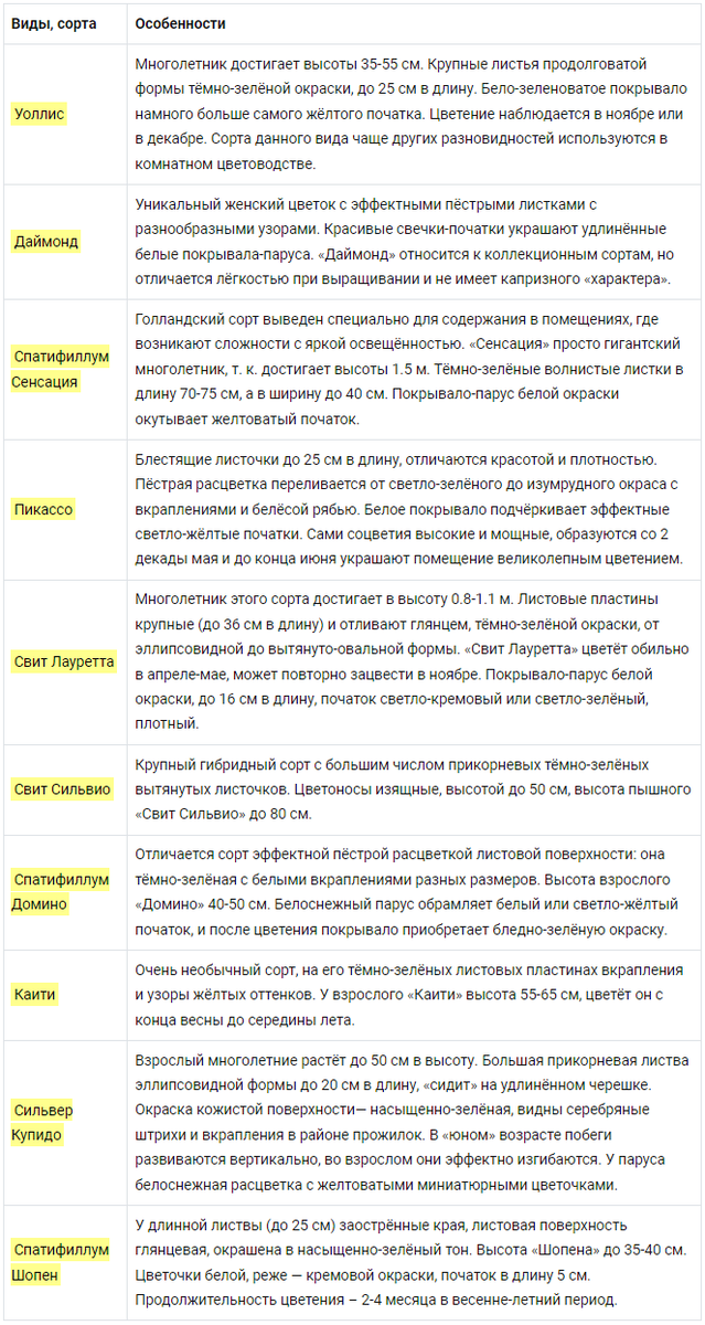 Ботаническое описание цветка похожего на бабочку