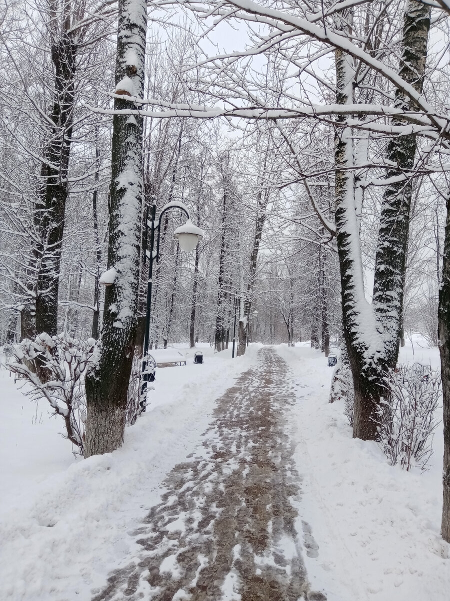 Зимний парк в Подмосковье 
