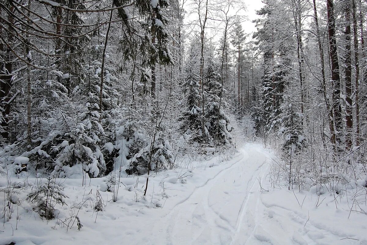 Из открытых источников.