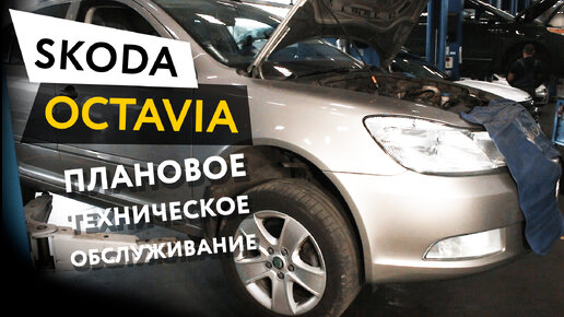 Плановое техническое обслуживание автомобиля Skoda Octavia 1,8 TSI