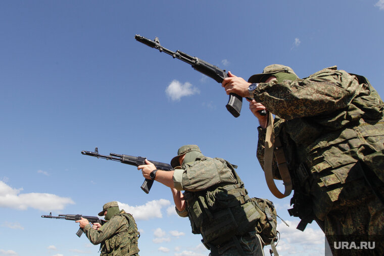    Немецкая разведка подтвердила масштабные потери украинской армии на артемовском направлении