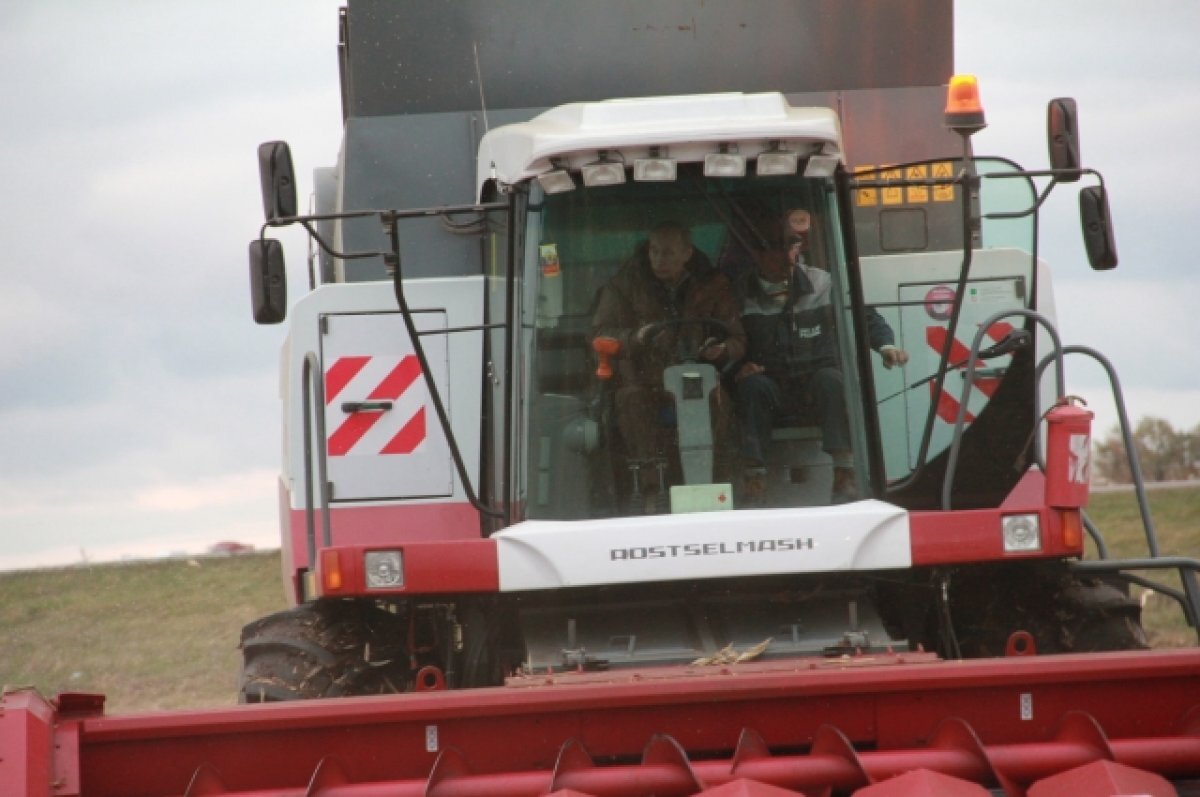    Дело о захвате власти в ставропольском колхозе, где бывал Путин, ушло в суд