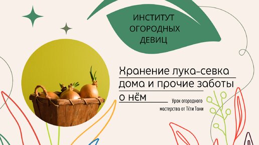 Хранение лука севка дома. и пр. заботы о нём.