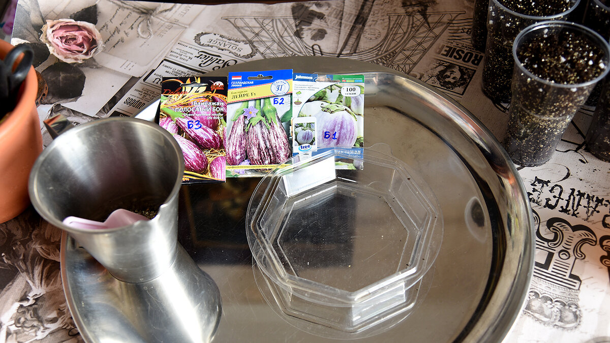 9 февраля: подготовка к посеву.