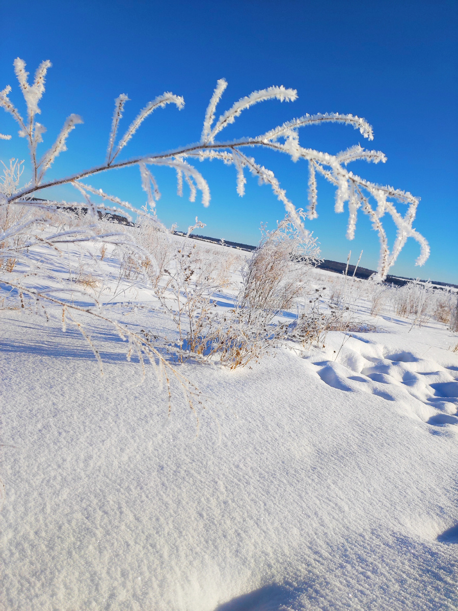 Хрустальная ветка