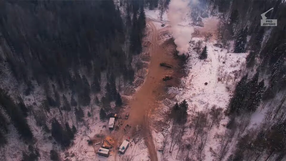 Погрузочный пункт на делянке