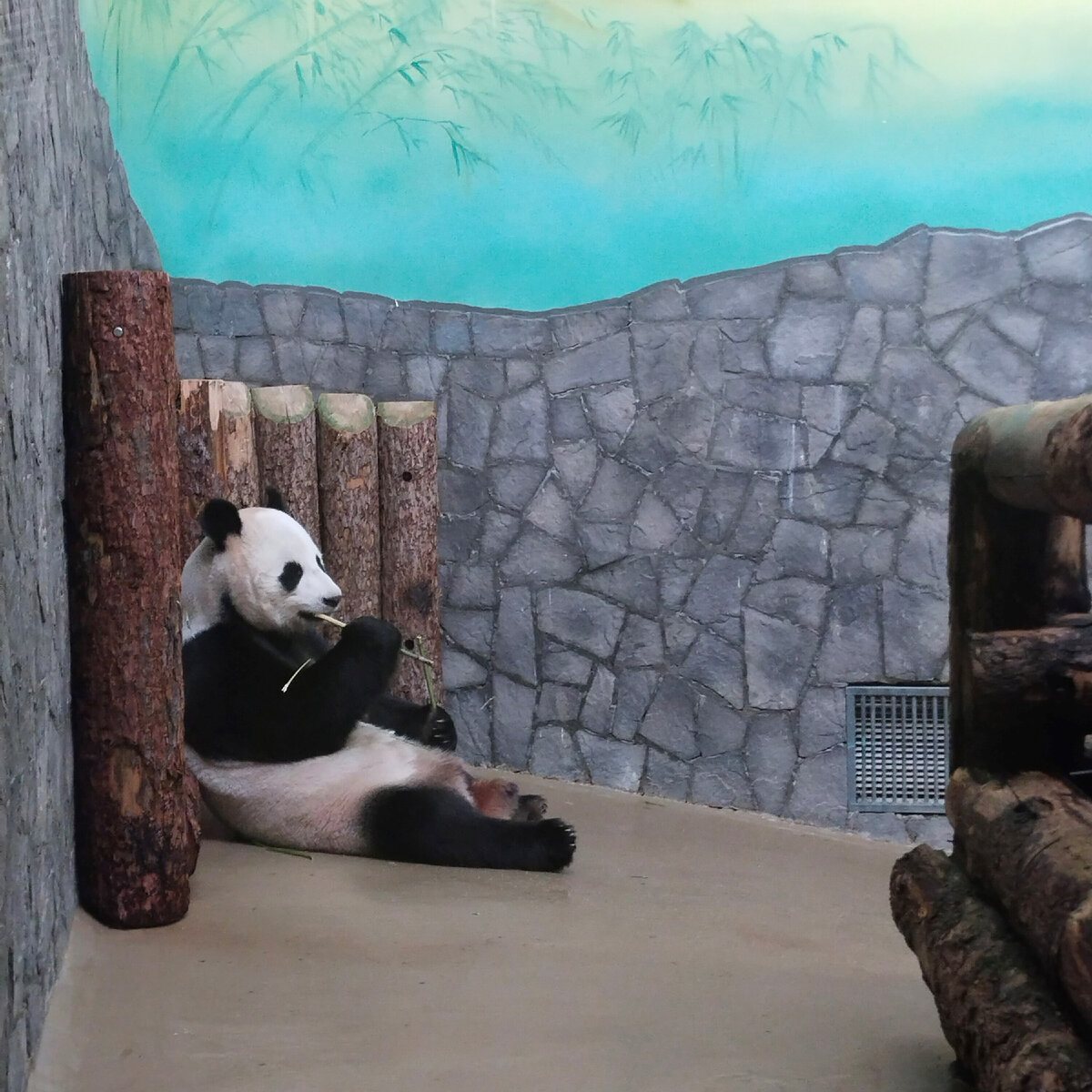 Милота зашкаливает