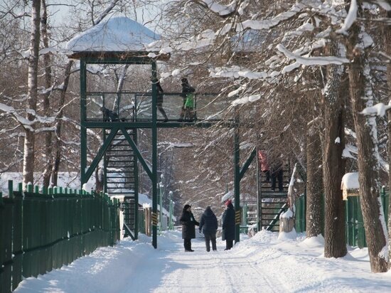     Фото из официального аккаунта Приокско-Террасного заповедника в сети «ВКонтакте»