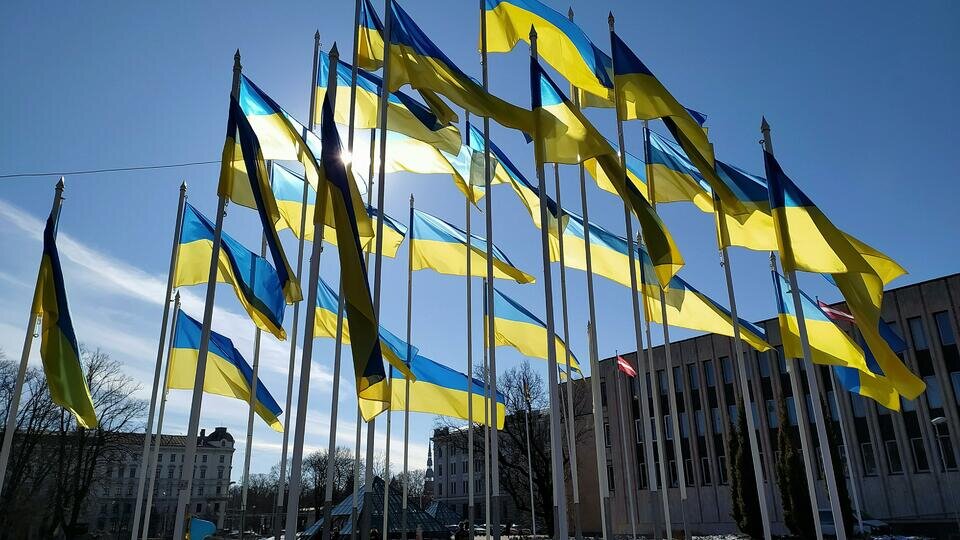     Трибунал по Украине: чем дальше в лес, тем больше дров Global Look Press/Виктор Лисицын