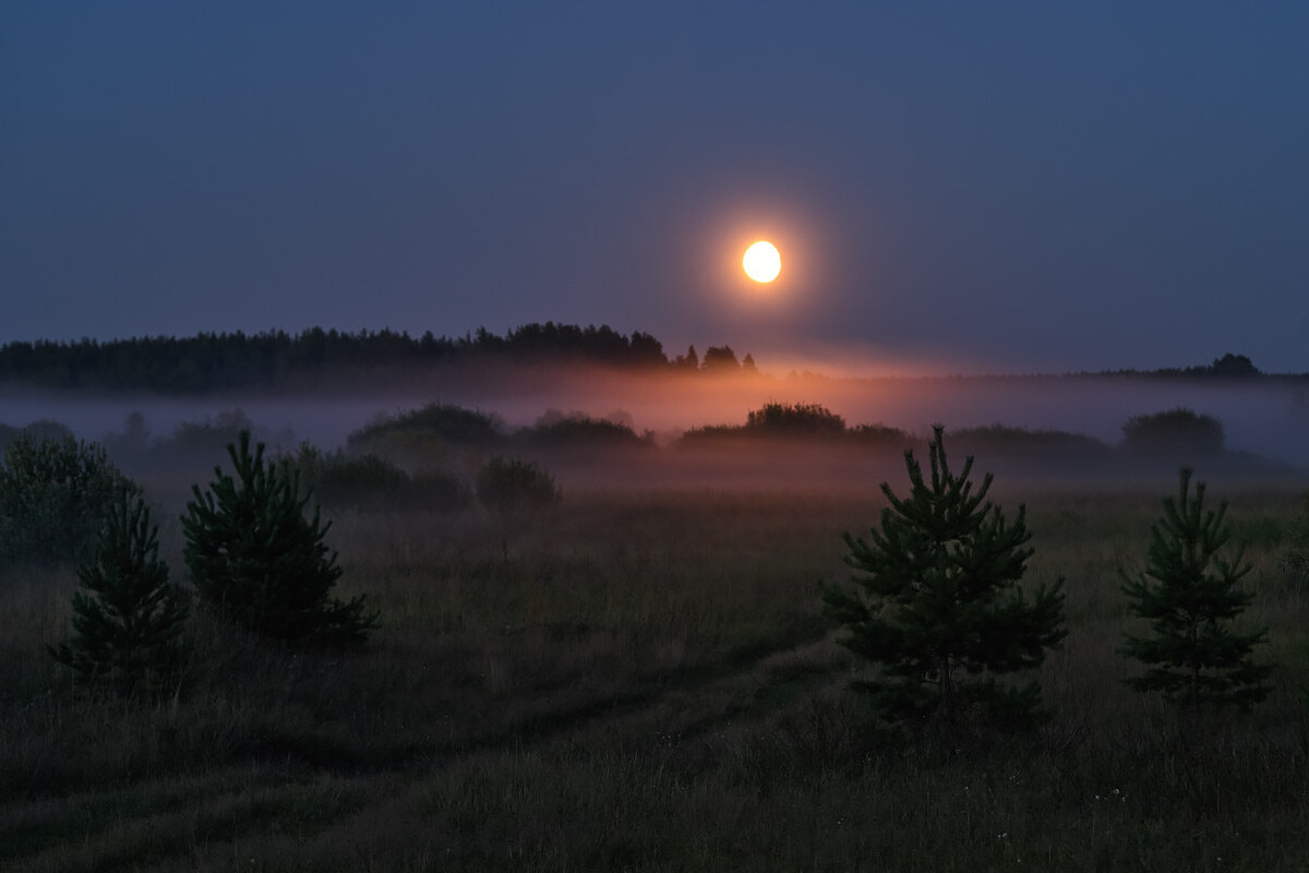 Луна в степи