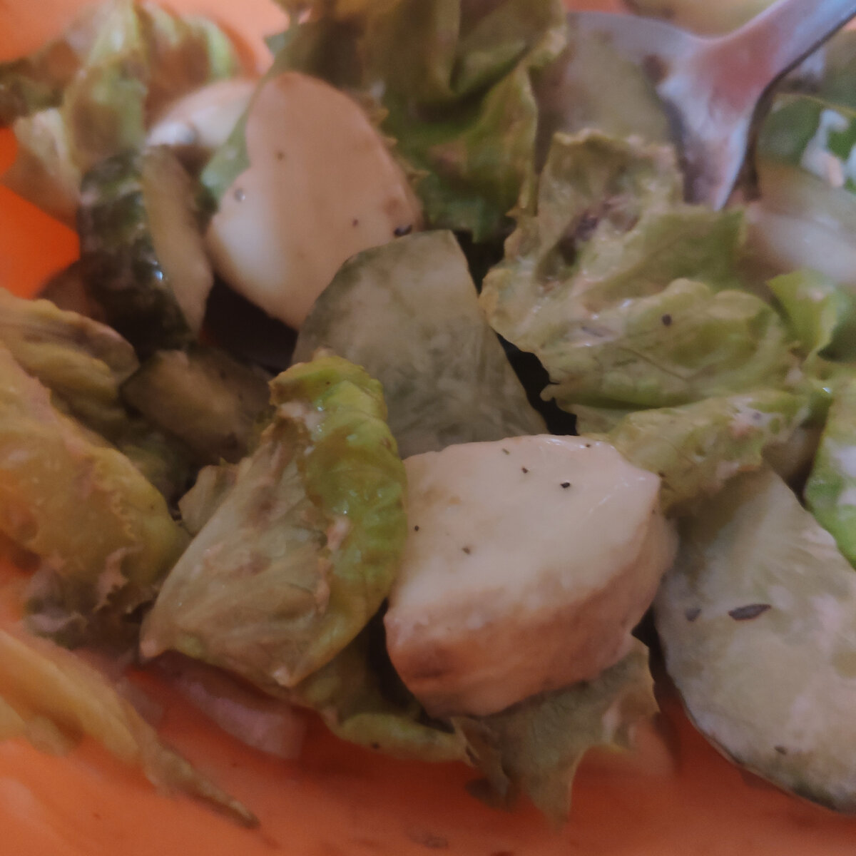 Сегодня я съела на обед зелёный салат с огурцом и моцарелой.