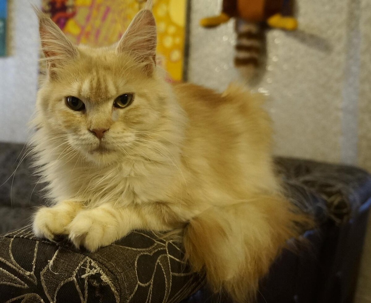 Когда не всё по плану 