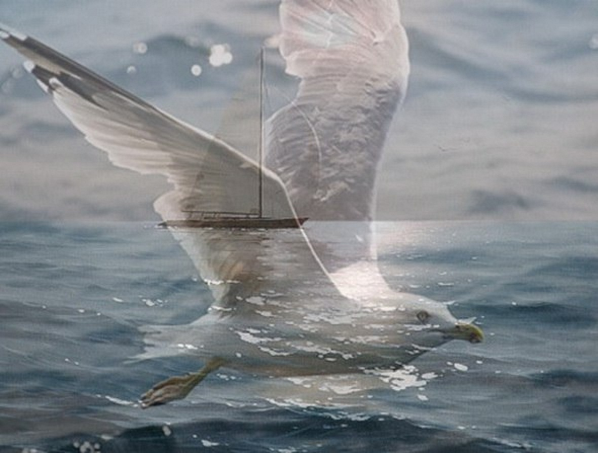 Парусник море чайки