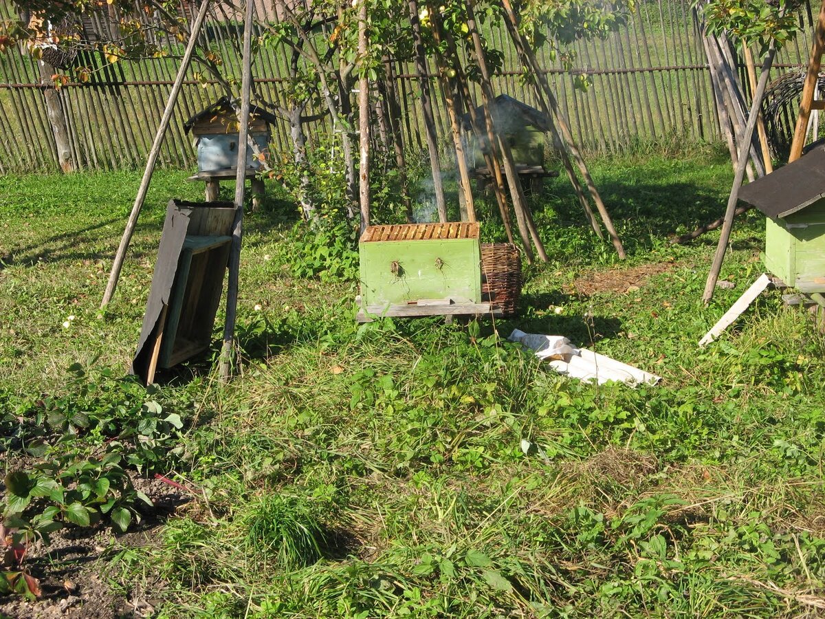 Фото Александра Терентьева
