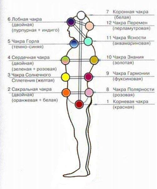 расположение чакр