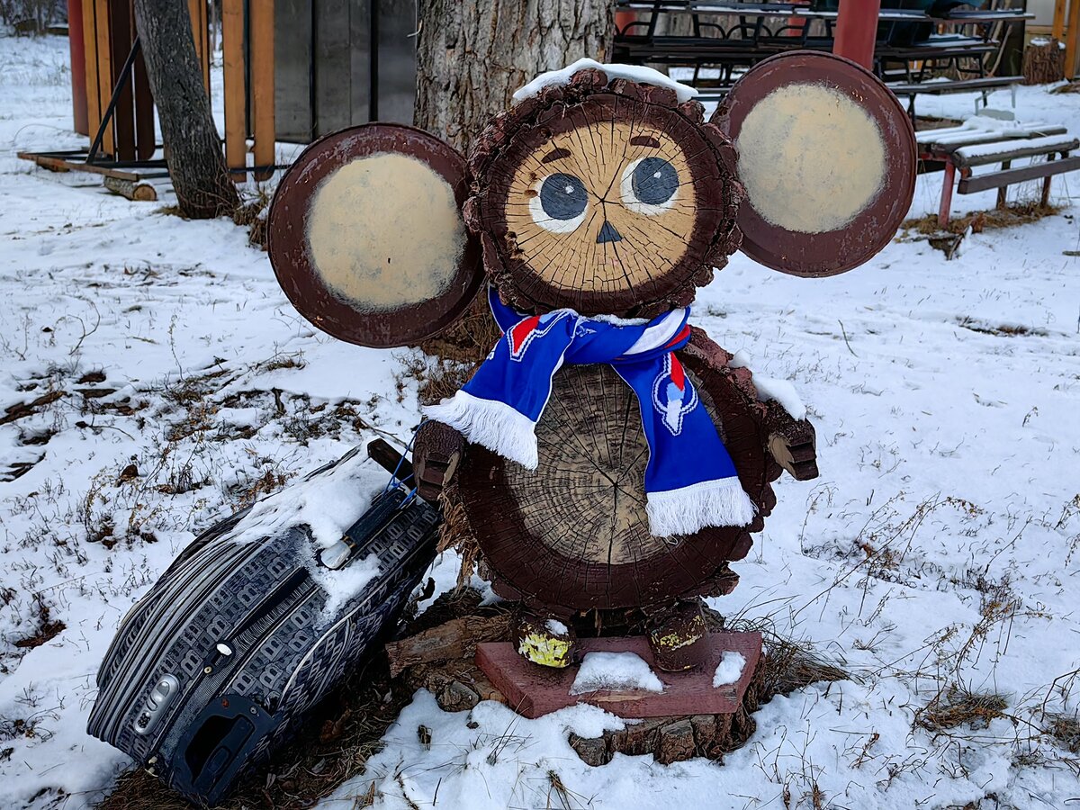 Этот старый Чебурашка живет на Волжском острове и, судя по чемодану, он любитель путешествий  