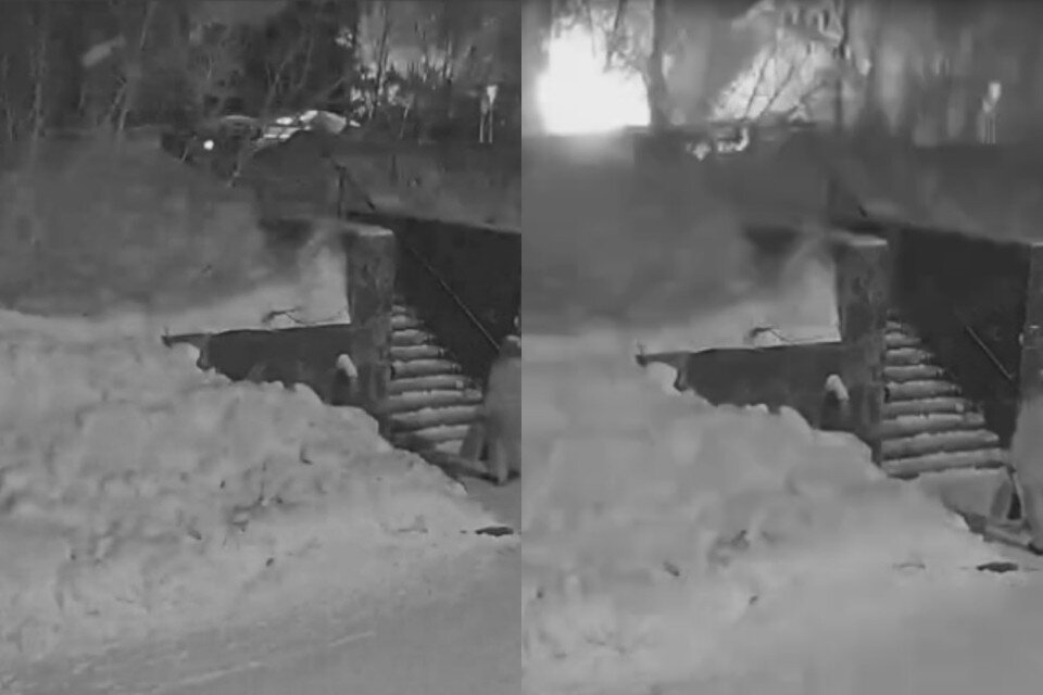     Момент взрыва в Новосибирске попал на камеры. Фото: стоп-кадр.