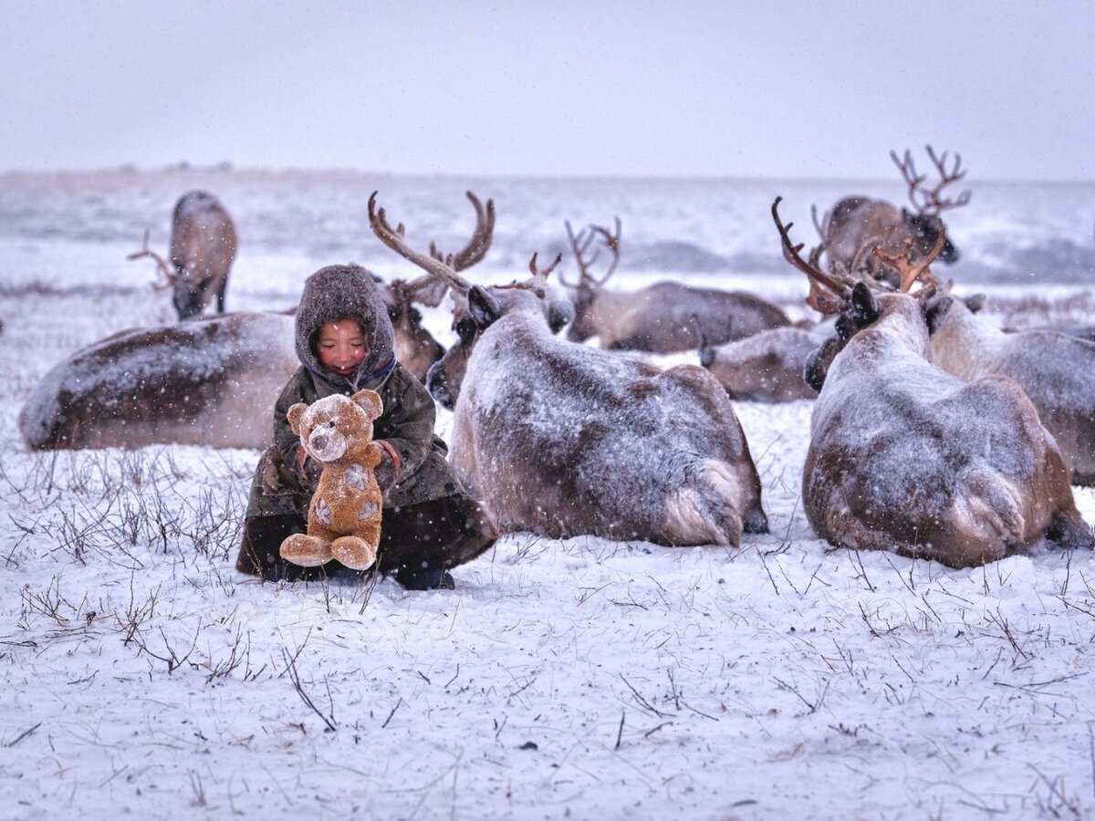 https://yandex.ru/images