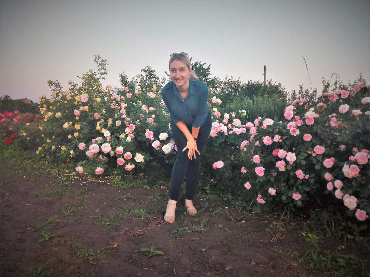 за мной Пьер де Ронсар и желтый - Голден Селебрейшн.