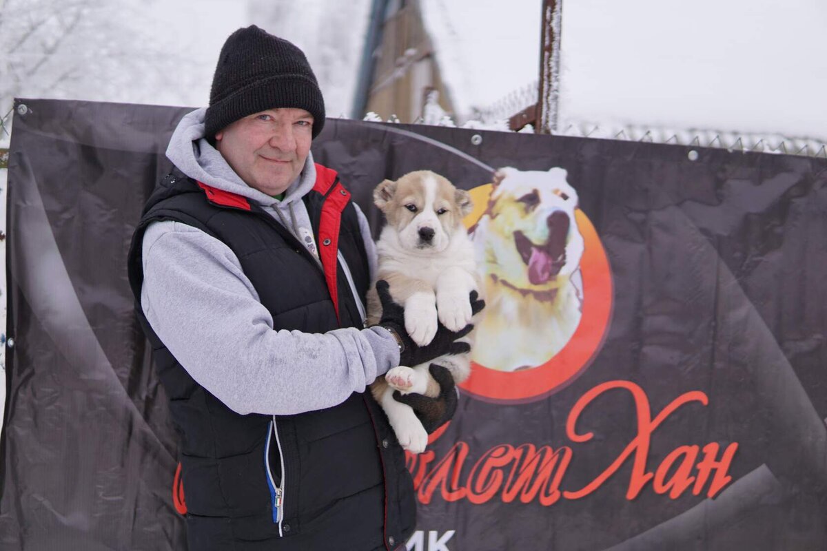 Питомник Давлет Хан