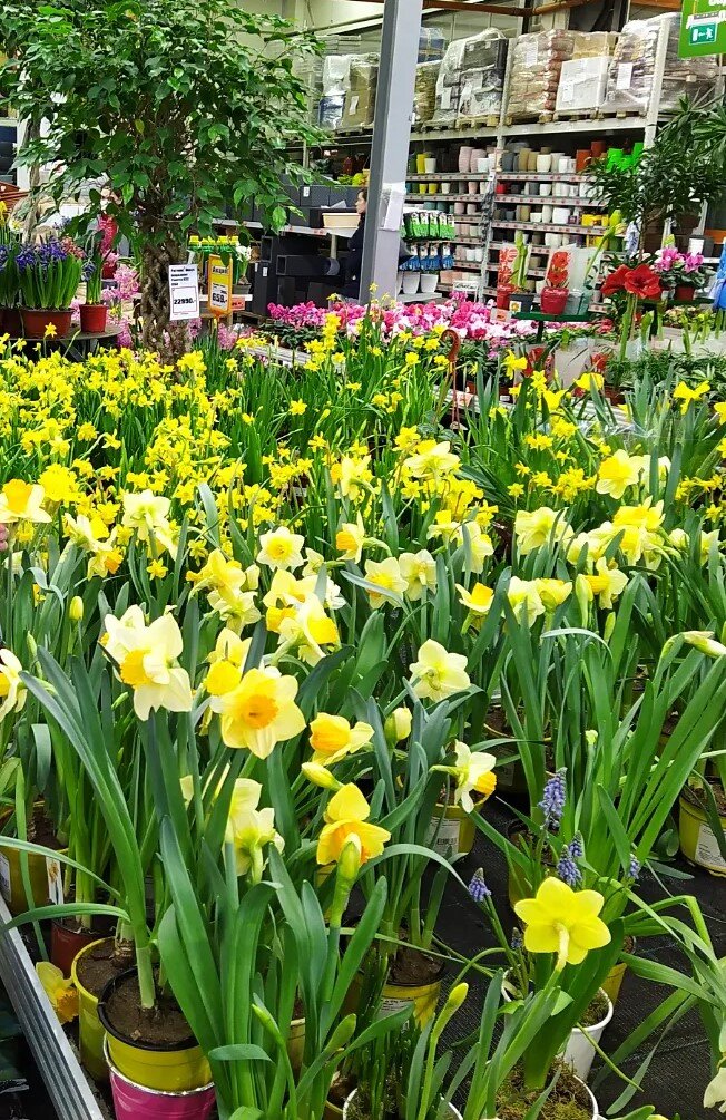 Оби в марте