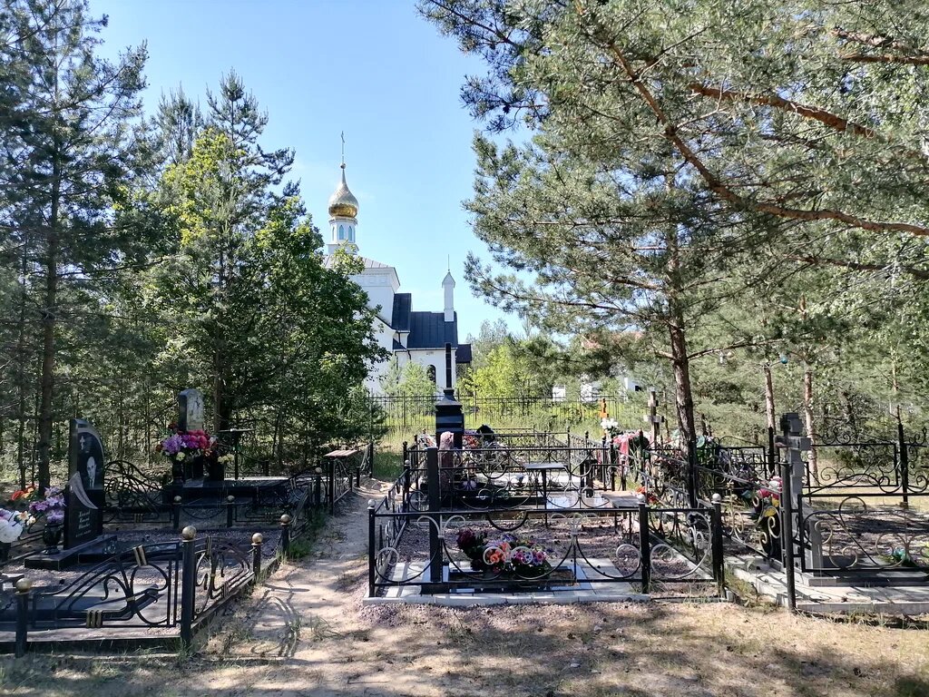 картинка с открытого доступа.