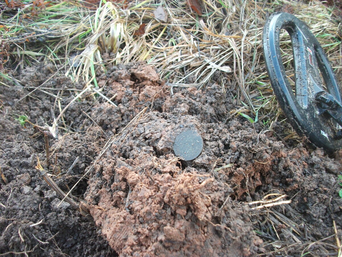Нашел с помощью металлоискателя. Кладоискатели коп с металлоискателем. Металлоискатель для монет. Находки металлоискателем. Находки металлоискателем кладов золота.