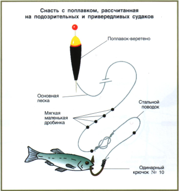 Поплавочная снасть на щуку с живцом оснастка Определяющие факторы, от которых зависит ловля судака на спиннинг Udim.ru (Удим.