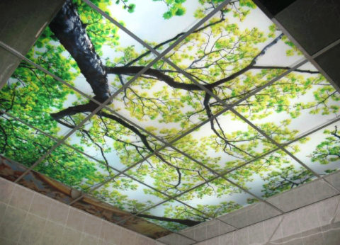  Потолок из стекла