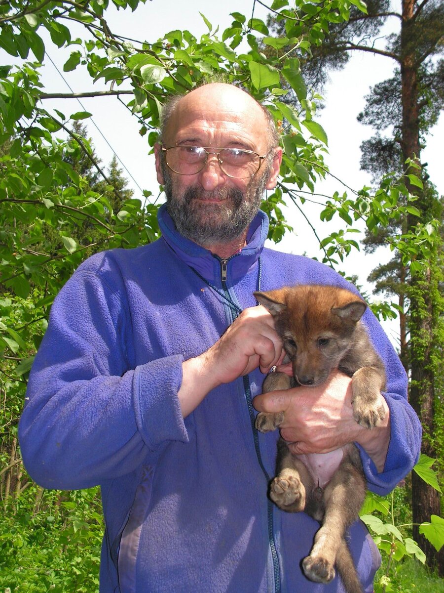 Волки научили меня искренности». Интервью с Ясоном Бадридзе | Философия для  жизни | Дзен