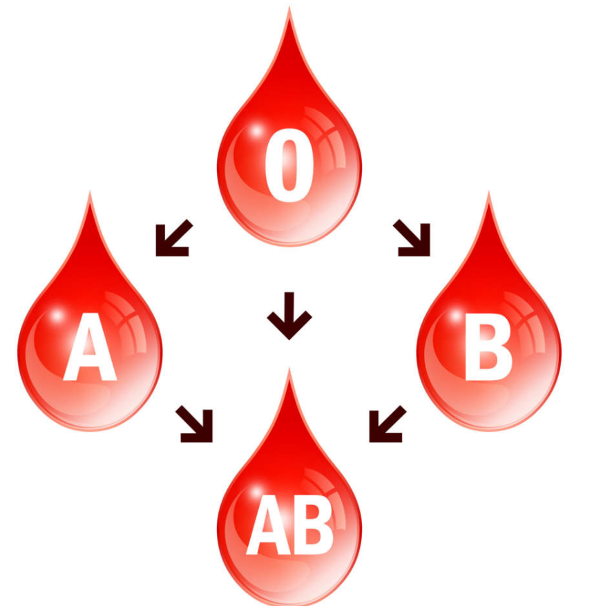 Группы крови картинки для презентации