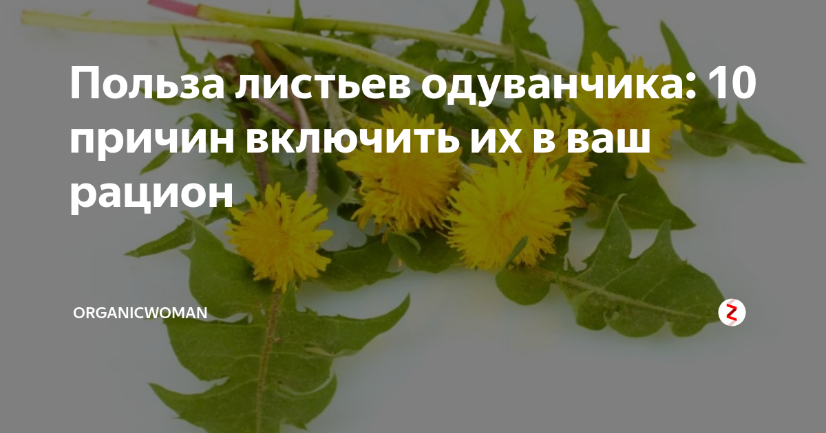 Польза листьев. Польза листьев одуванчика. Листья одуванчика полезность. Листья одуванчиков польза. Листок одуванчика полезен для.