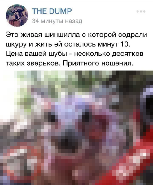 Этот материал вызовет тонну негативных реакций. Рекомендуем ознакомиться с комментариями изначальной публикации и задавать вопросы там: vk.com/wall-109807672_26769