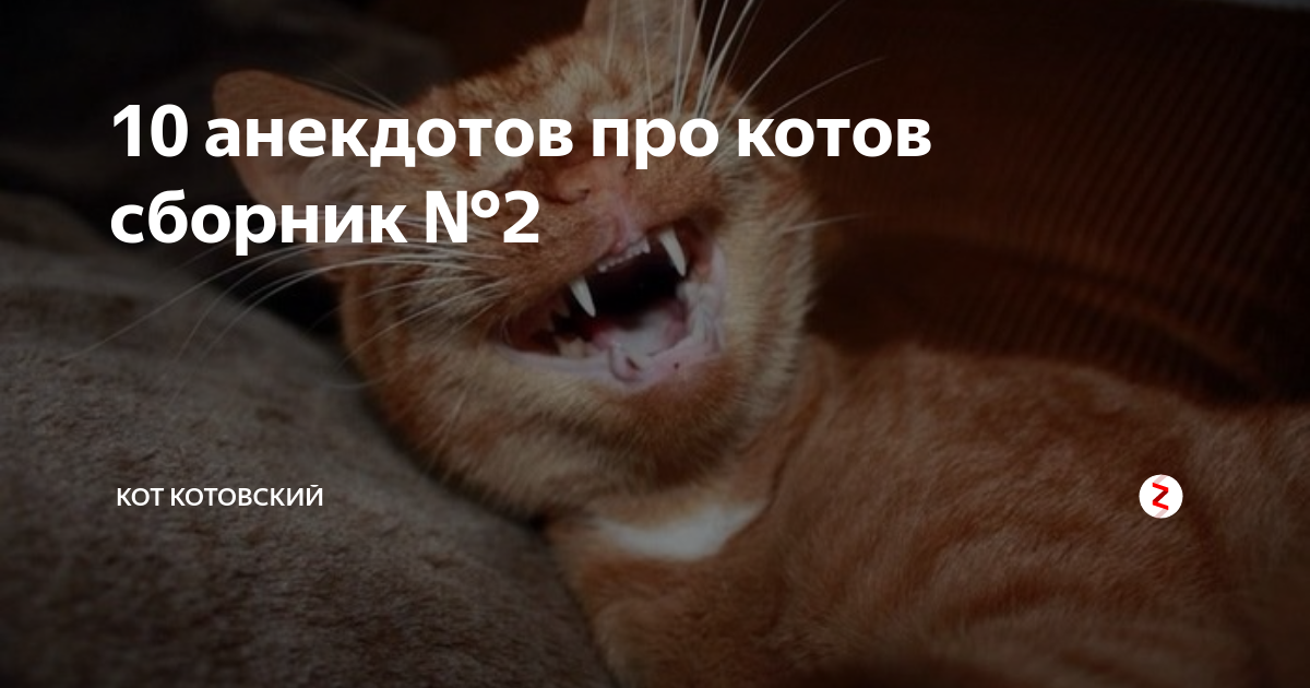 Котэ сборник час