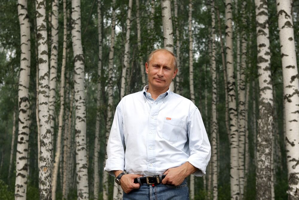 Источник:nexplorer.ru