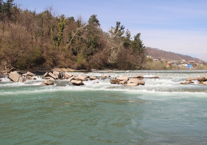 Источник: urpsosochi.ru