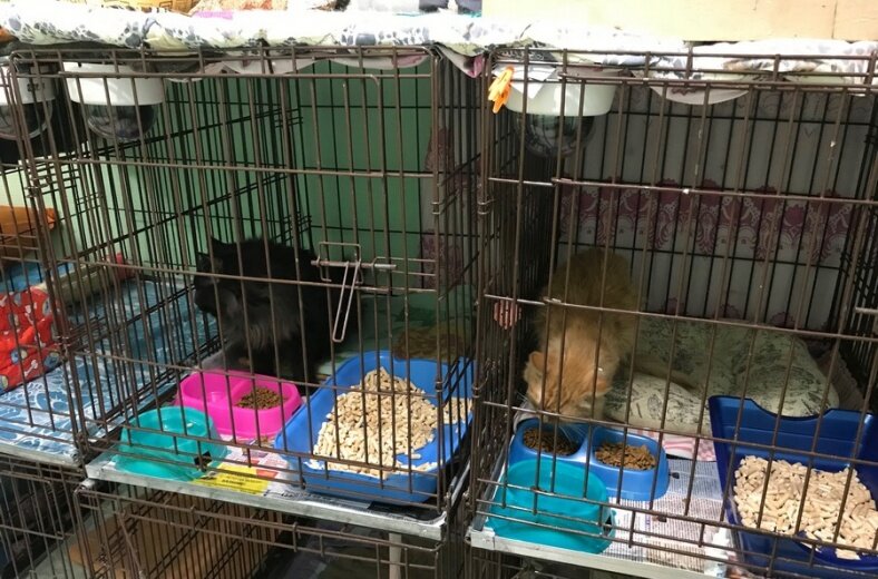 Фото: Ирина Кириллова